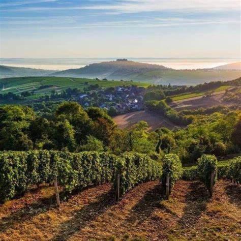 Gite Atelier De Sancerre Centre Historique エクステリア 写真